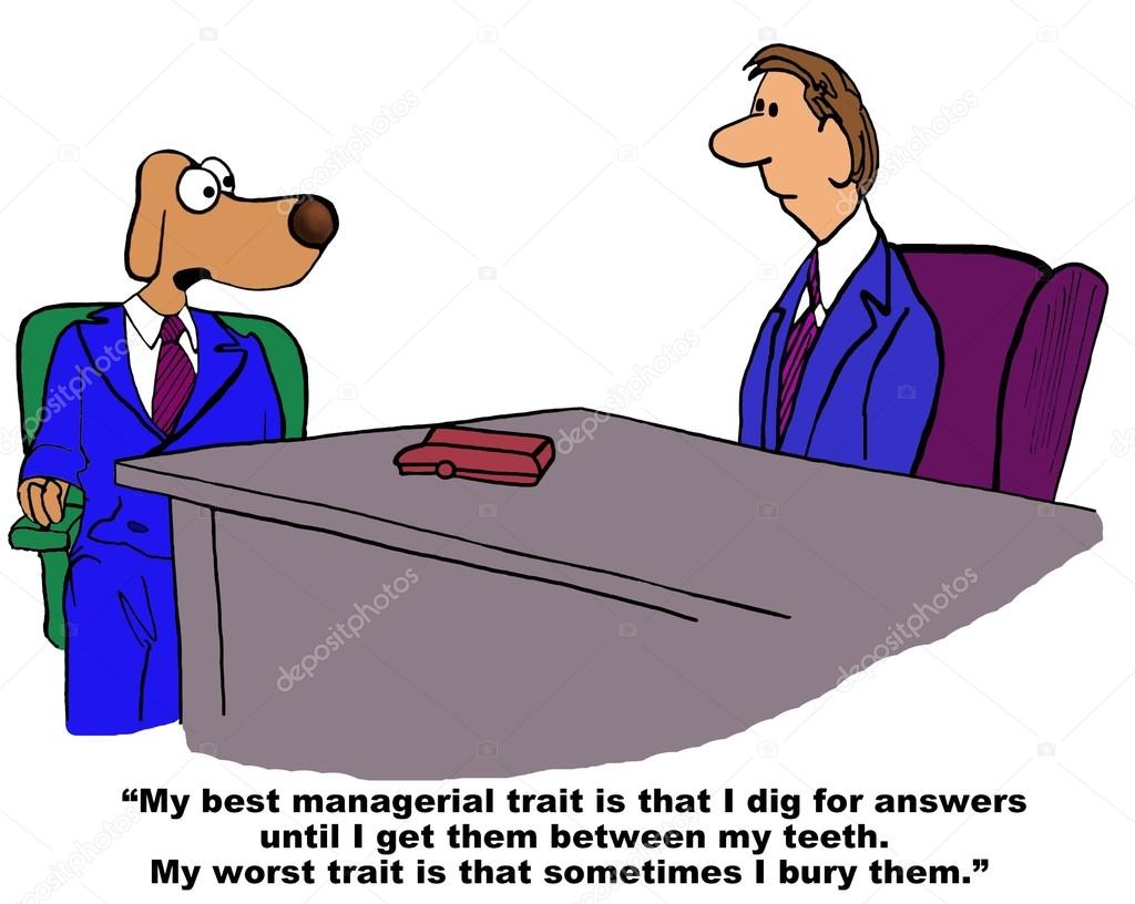 Business Interview with Dog about His Good and Bad Traits