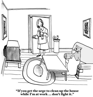 Tembel kedi evi temizlemek gerekiyor