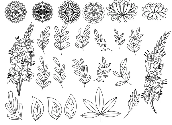 Set overzicht herfst bladeren en bloemen — Stockvector