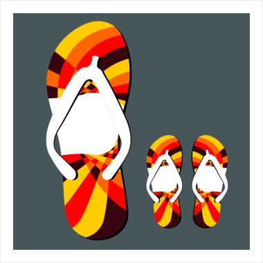 Set renkli flip flop