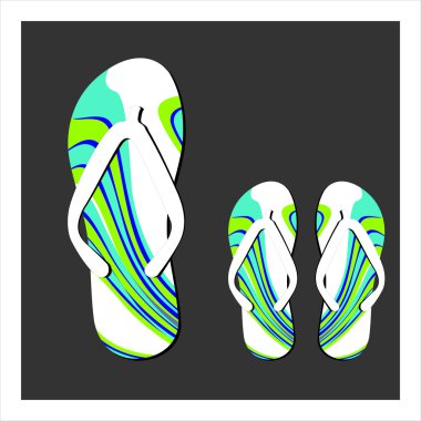 Set renkli flip flop