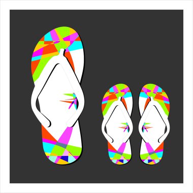 Set renkli flip flop