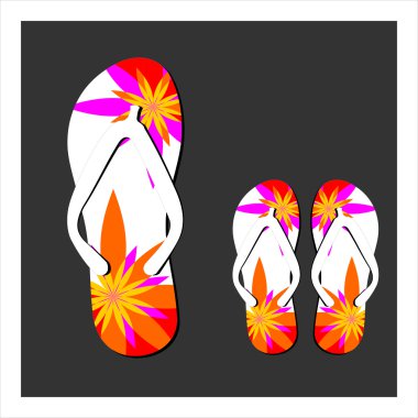 Set renkli flip flop