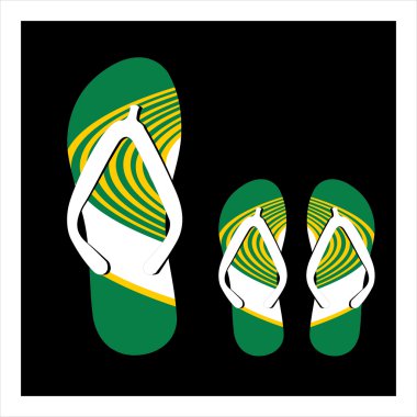 Set renkli flip flop