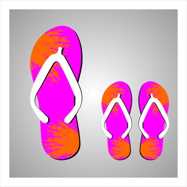 Set renkli flip flop