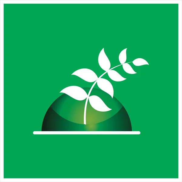 Planta & agricultura colheita Vector ilustração — Vetor de Stock