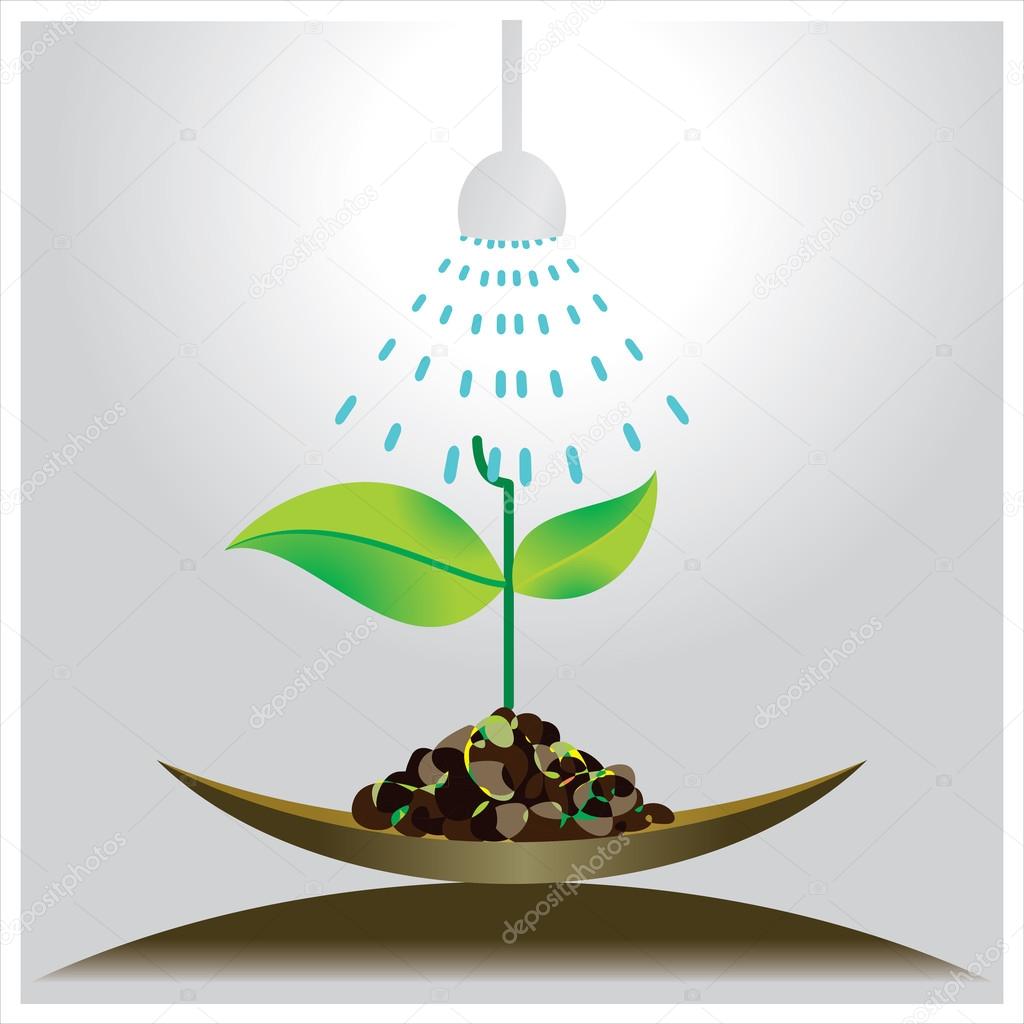 Plant & agriculture   harvesting  Vector illustration