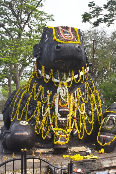 Toro Nandin — Foto de Stock