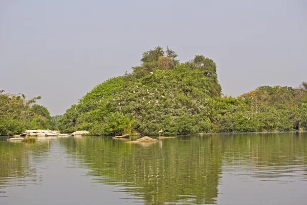 Ranganathittu bird sanctuary — Stock Photo, Image