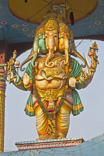 Ganesha Perna — Foto Stock