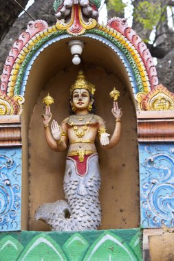 Matsya Dev