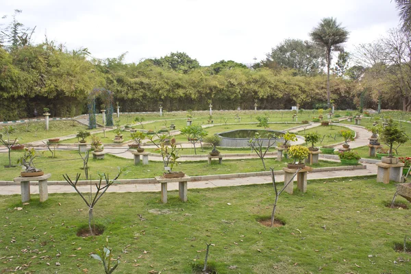 Jardín japonés — Foto de Stock