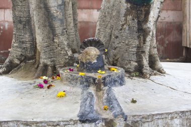 shiva-Lingam