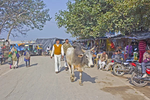 Street in Vrindavan — Stock Photo, Image