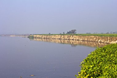 yamuna Nehri