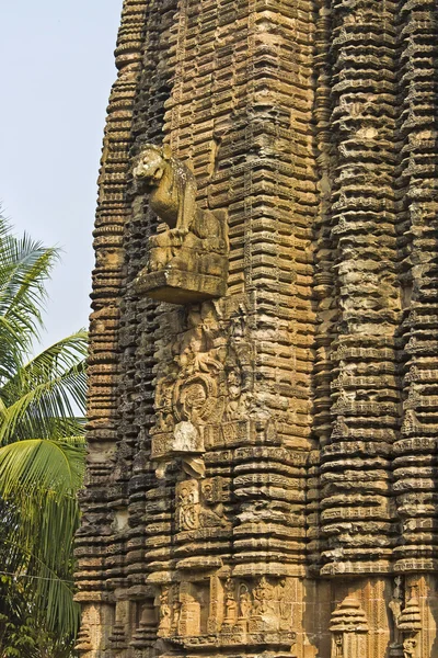 Detalj av Chitrakarini templet — Stockfoto