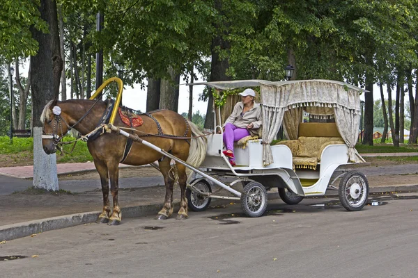 At arabası — Stok fotoğraf