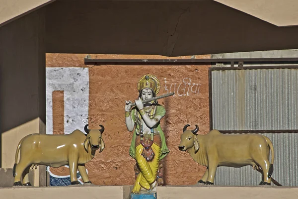 Shri Krishna and cows — Stock Photo, Image