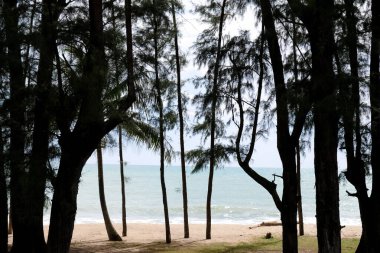 Tayland 'ın Phang Nga eyaletindeki Khao lak plajı. Nang Tanga Sahili turistler için deniz ve kumun en önemli noktasıdır. Güzel kayalar var seyrek, yumuşak beyaz kum.