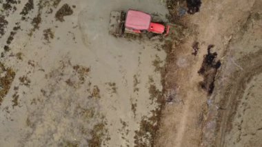 Pirinç tarlasında traktör vıngıldağında 4K. Pirinç tarlasının ve traktörün tarla sürüşü sırasındaki hava manzarası..