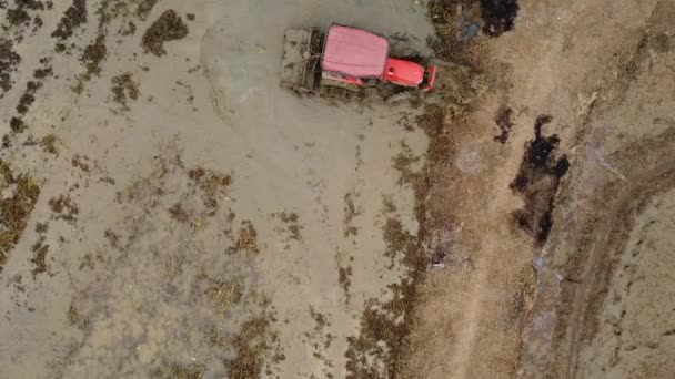 Pirinç Tarlasında Traktör Vıngıldağında Pirinç Tarlasının Traktörün Tarla Sürüşü Sırasındaki — Stok video