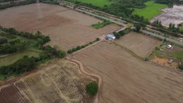 View Van Boven Rice Farm Voor Het Cultiveren Van Seizoen — Stockvideo