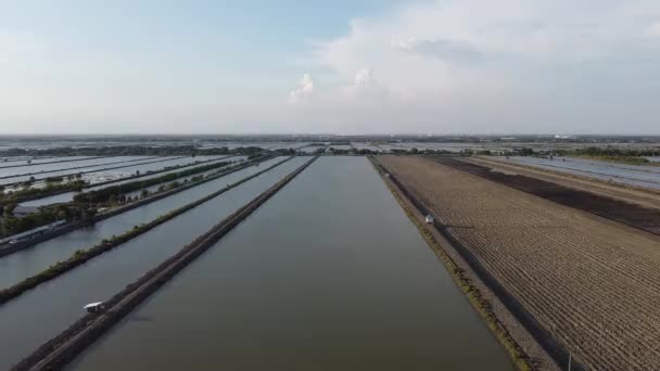 Solução Salina Partir Visão Olho Pássaro Drone Campo Sal Samut — Vídeo de Stock