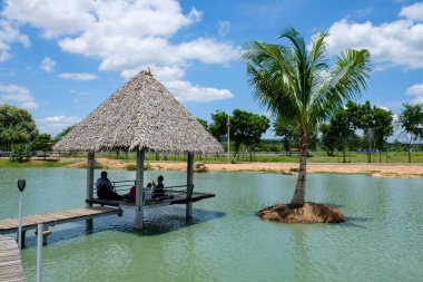 Çevresi kıyı ve ağaçla çevrili tropik kahve dükkanı.