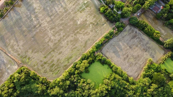 耕地在播种前准备耕作时的高角景观 粘土在准备播种水稻 — 图库照片