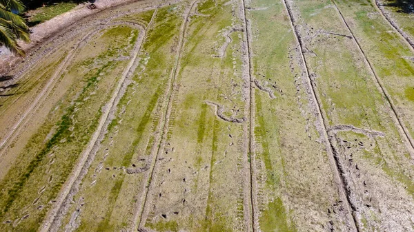 Vista Ángulo Alto Granja Campo Durante Preparar Suelo Antes Sembrar — Foto de Stock