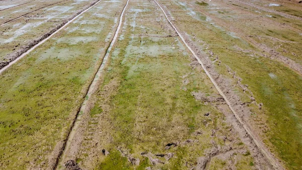 耕地在播种前准备耕作时的高角景观 粘土在准备播种水稻 — 图库照片