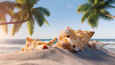 Deniz zeminindeki kumların üzerinde palmiye yapraklarıyla çeşitli deniz kabuklarının önü. Dalgalar ve mavi gökyüzü ile deniz ufku.