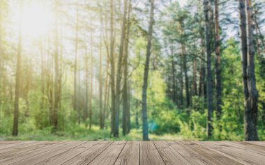 Orman zeminli boş ahşap masa. Masası ve çam ağaçları olan bir sergi salonu. Model için orman arkaplanı.
