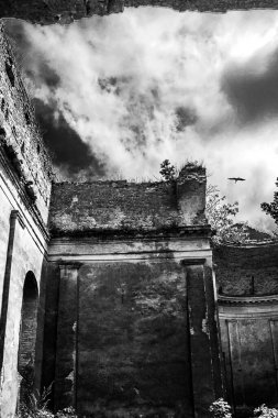 Eski bir binanın yıkılmış duvarının bir parçası ve uçan bir leylek.