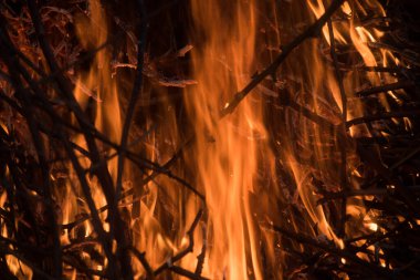 Alevler dalları yakar