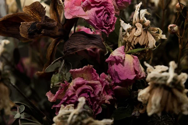Roses Sèches Bouquet Fané — Photo