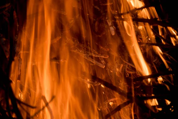 Flames Burn Branches — Stock Photo, Image