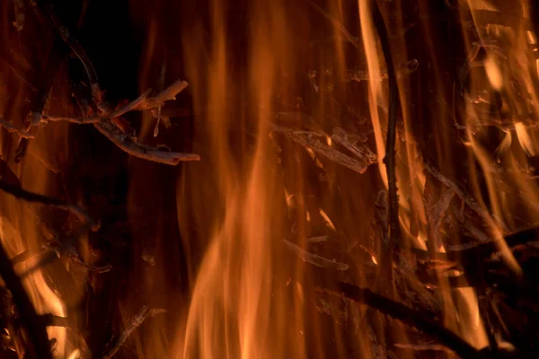 Flammen Verbrennen Die Äste — Stockfoto