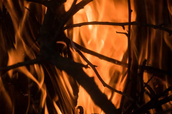 Vlammen Verbranden Takken — Stockfoto