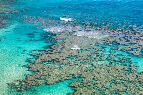 Recifes Corais Hanauma Bay Oahu Havaí Ideal Para Nadar Mergulhar — Fotografia de Stock