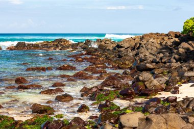 Laniakea Sahili, kuzey kıyısında kayalık sahil Oahu, Hawaii