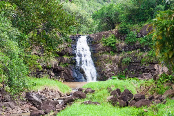 Waimea Falls Waimea Valley North Oahu Hawaii Considerable Falls Only — Stock Photo, Image