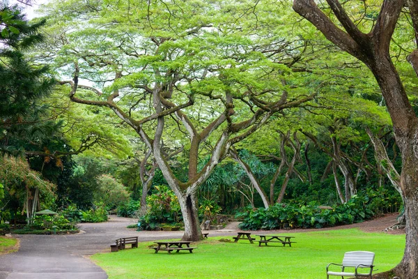 Waimea Vadisi, Oahu, Hawaii 'de dinlenme alanı. Waimea Şelalesi 'ni gördükten sonra dinlenin..