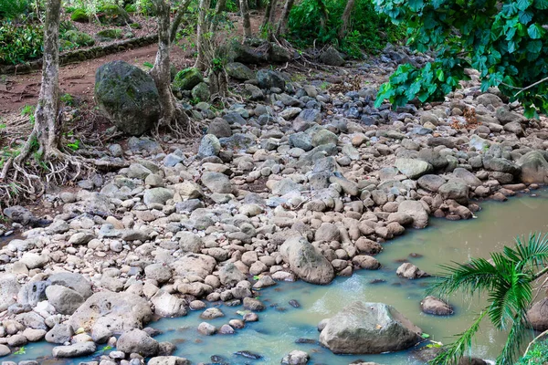 Dry Riverbed Waimea Valley Oahu Hawaii Remnants Water Seasonal Rains — Stock Photo, Image