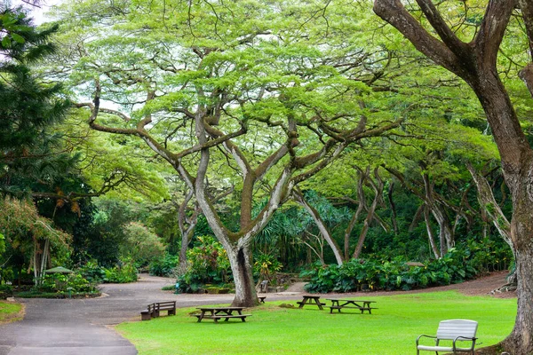 Pihenőhely Waimea Valley Ben Oahu Hawaii Pihenjen Emberek Miután Megtekintette Jogdíjmentes Stock Fotók