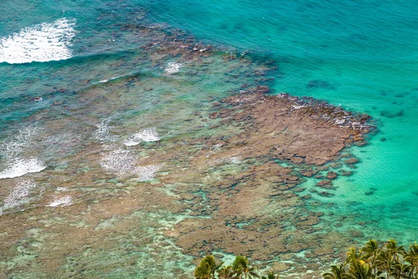 Coral Reef Coast Waikiki Oahu Hawaii — Stock Photo, Image