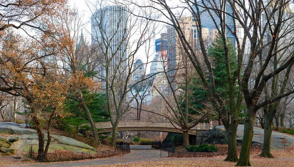Центральний Парк Взимку Манхеттен Нью Йорк — стокове фото