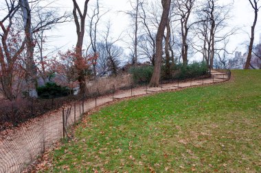 Central Park, New York 'taki Gölet' in etrafından geçen patika.