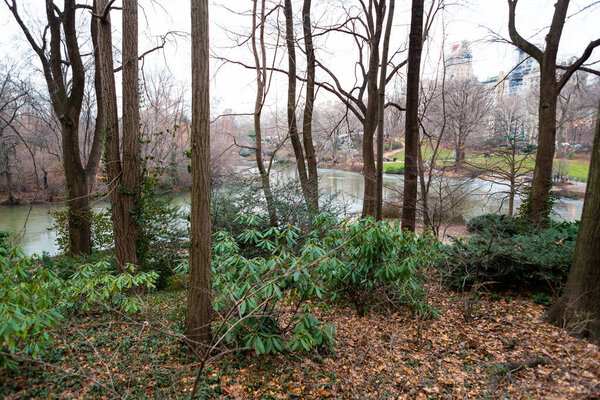 Wooded area around Central Park, New York City