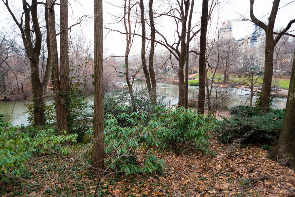 Wooded area around Central Park, New York City
